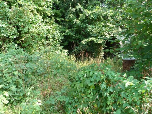 REAR AREA