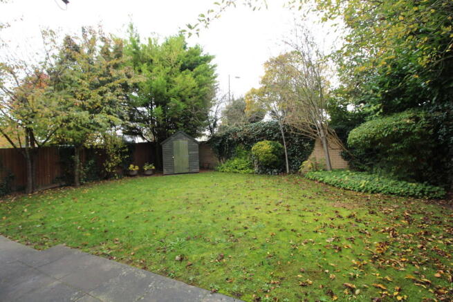 Photo 15