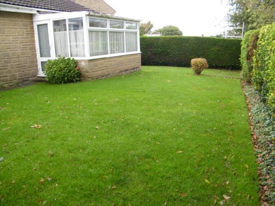 Rear Garden 2