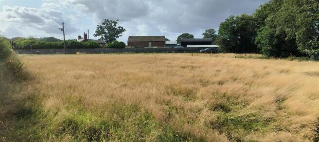 IMG20250805170210 (2).jpg