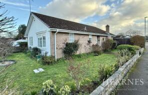 9, West Avenue, Wimborne BH21 6YZ