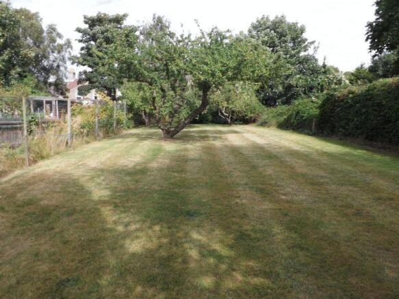 Rear Garden 3