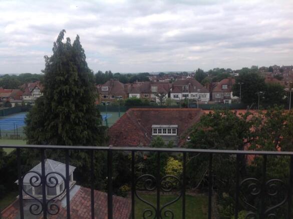 View (Vendor).jpg
