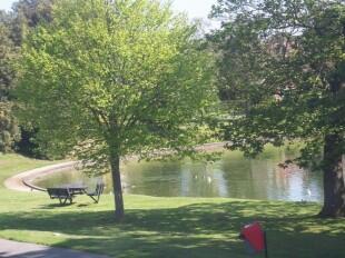 Common Pond