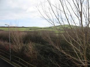 View From Bedroom