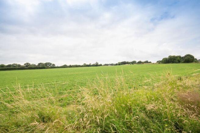Fields To Rear