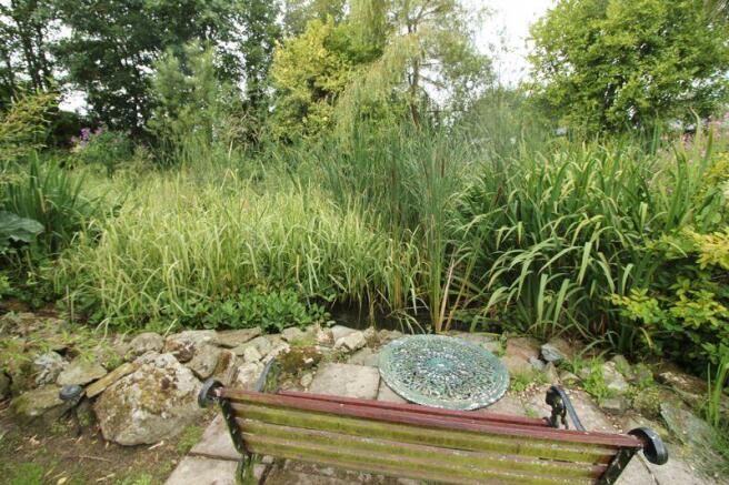 Pond