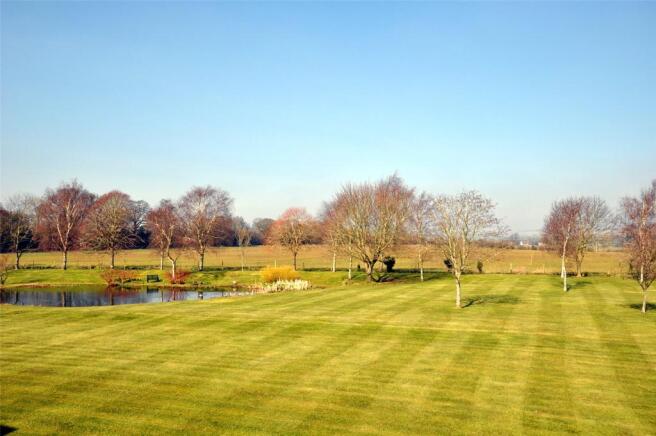 Grounds