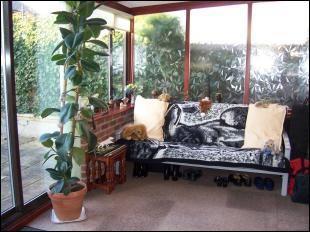 Sun Conservatory