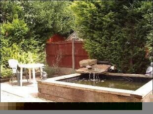 Fish pond