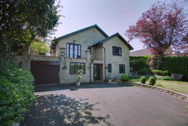 1.2 IMG_5943-IMG_...