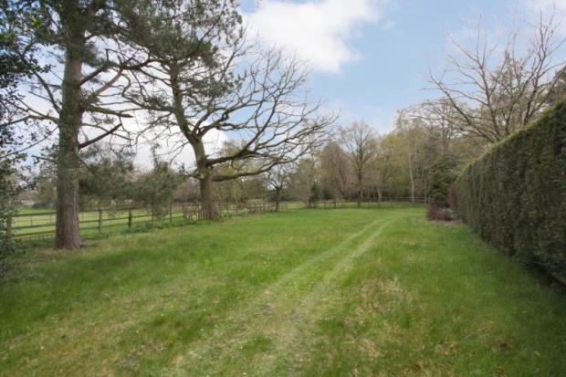 Grounds