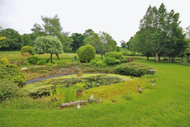 Pond Area