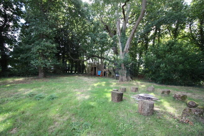 Photo 24