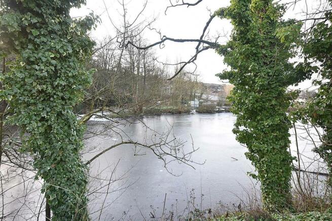 DSC_3196.jpg
