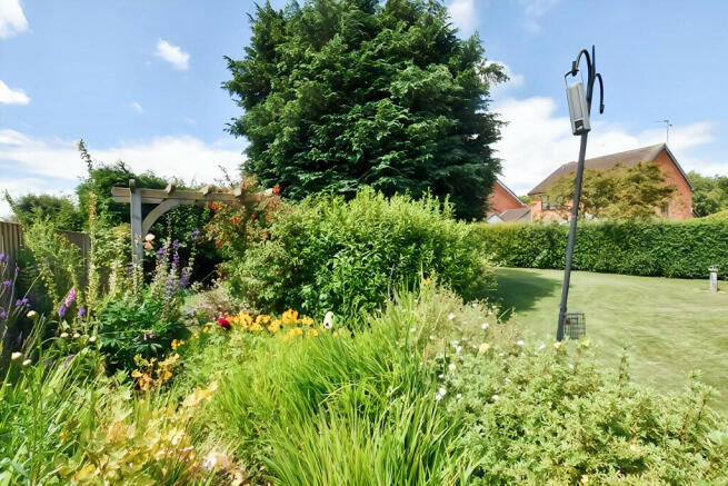 Garden 6