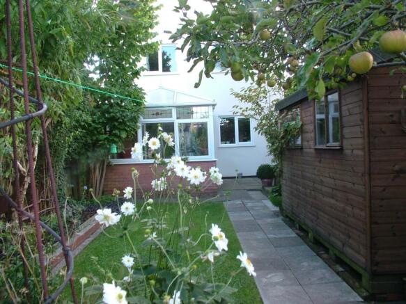 Photo 20