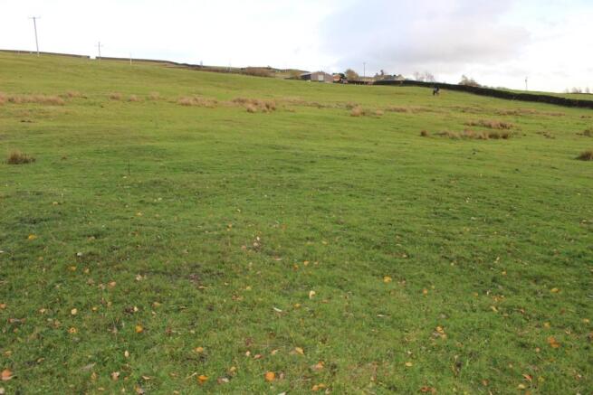 Pasture