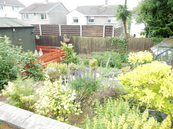 Photo 11
