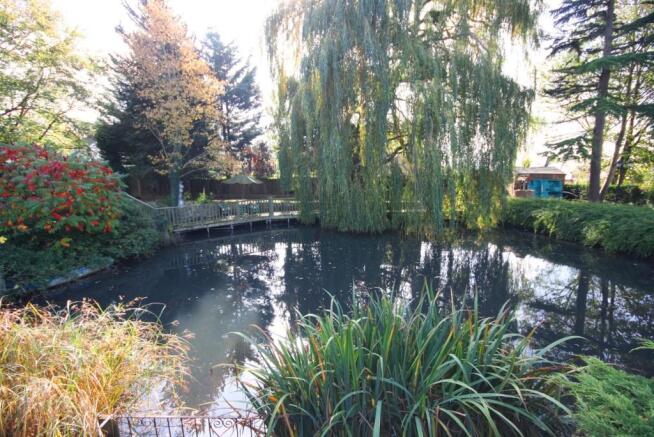 Large Natural Pond 
