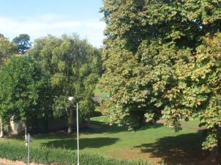 View Of Park