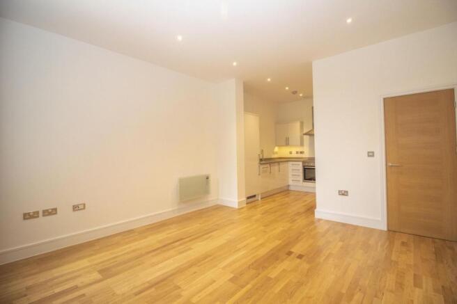 Kitchen / Living / Dining