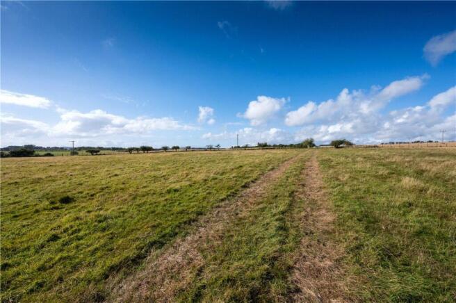 Lot 6
