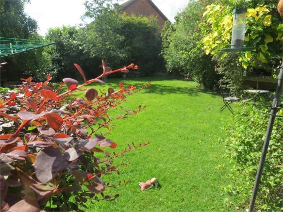 Photo 10