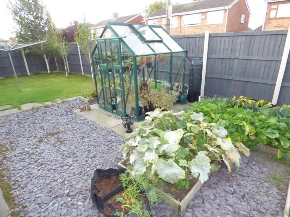 Vegtable Patch