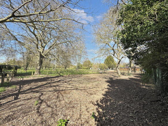 Photo 38