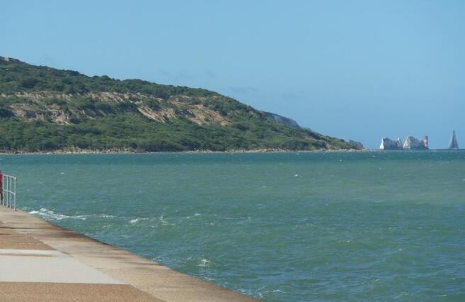 View of The Needl...
