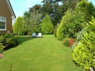 Garden 1