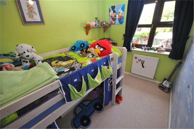 Photo 11
