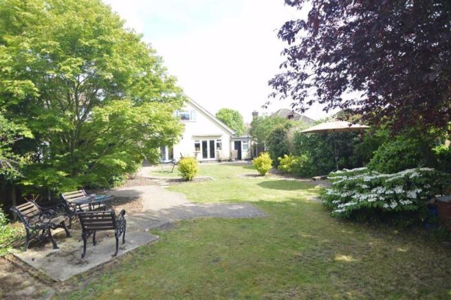 Established Rear Garden