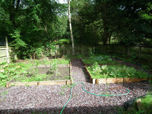 Vegetable Garden