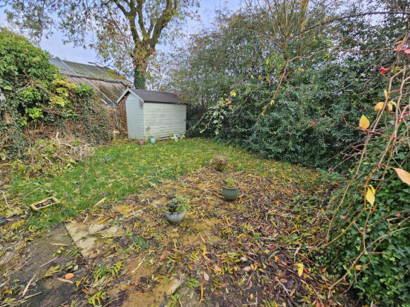 Photo 15
