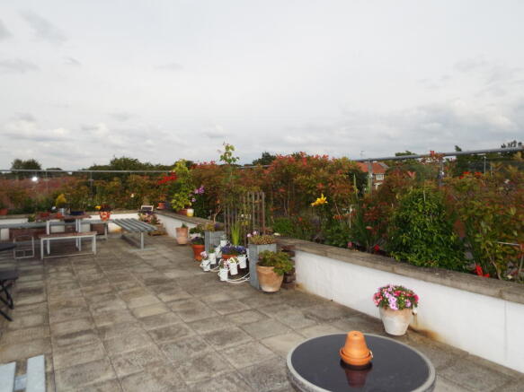 Communal Roof Terrace