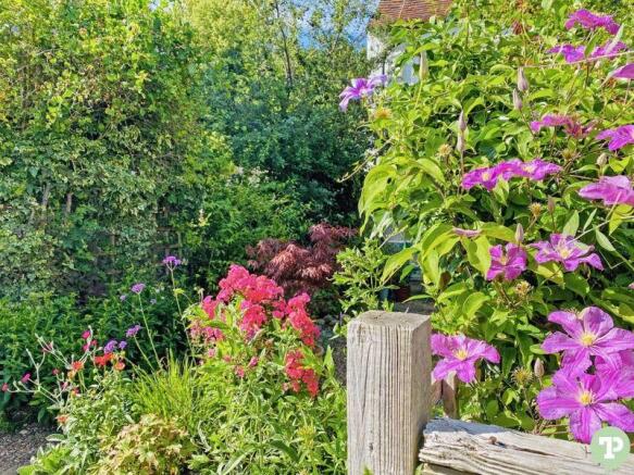Front garden i...
