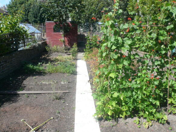 Veg patch