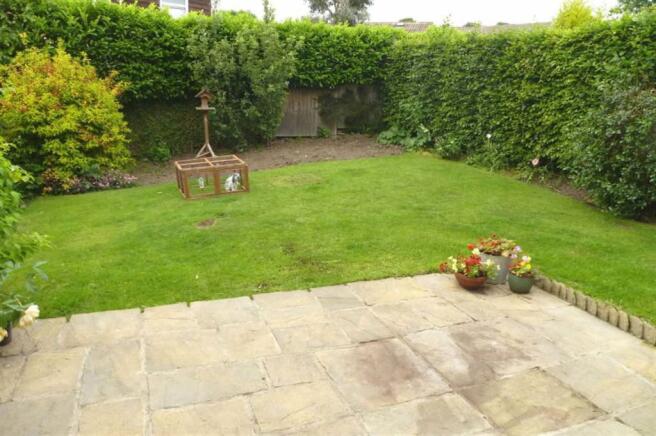 Photo 11