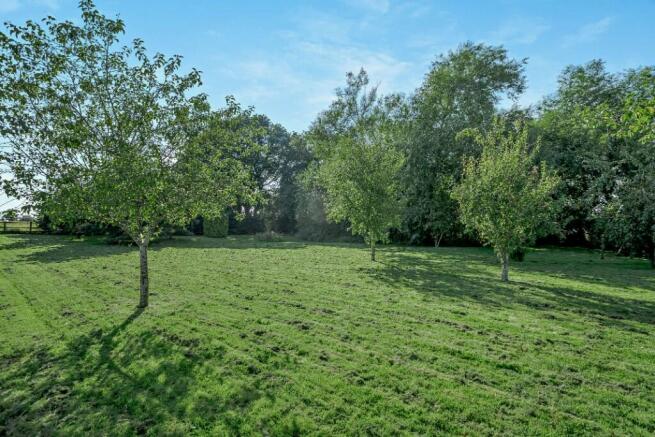 Orchard