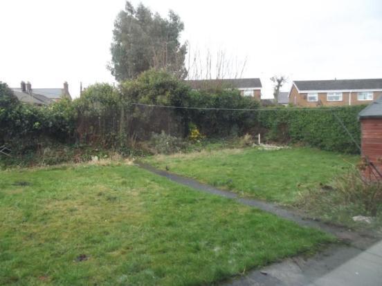 Garden 1