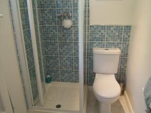 Downstairs Shower