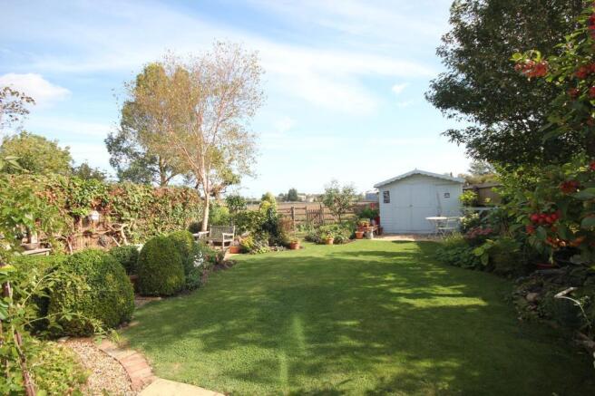 garden.JPG