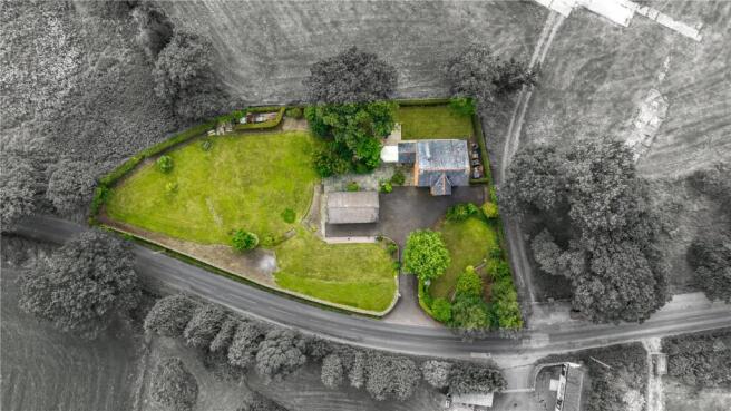 Aerial Shot