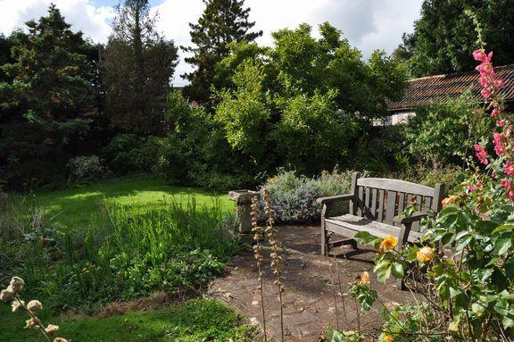Side garden