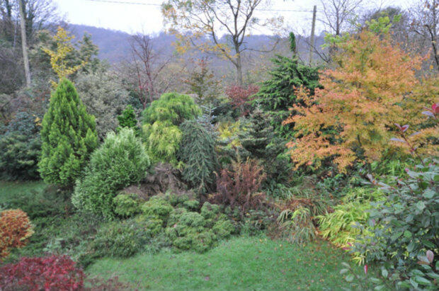 Photo 18