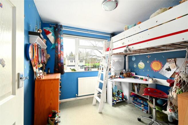 Picture 11