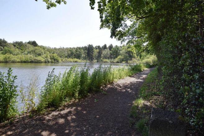 Basingstoke canal