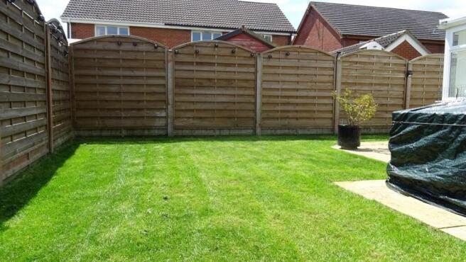 garden 1
